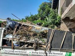 Best Recycling Services for Junk  in Argo, AL
